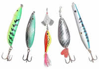 Lojas de Pesca em Campos dos Goytacazes