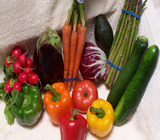 Sacolão, Hortifrutis e Quitandas em Campos dos Goytacazes